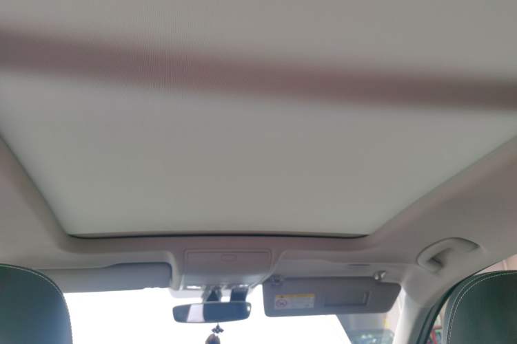 Used Volkswagen Tiguan L 2020 330TSI Automatic Two-Wheel Drive Smart Luxury Edition China VI Standard Headliner