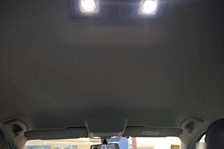 Used Volkswagen Tiguan L 2020 330TSI Automatic Two-Wheel Drive Luxury Edition China VI Standard Headliner