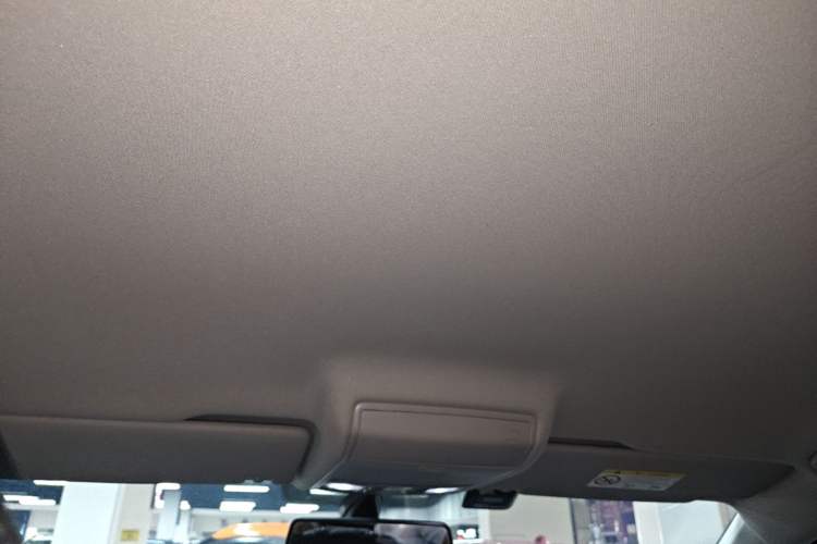 Used Volkswagen Tiguan L 2021 330TSI Automatic Two-Wheel Drive Comfort Edition Headliner