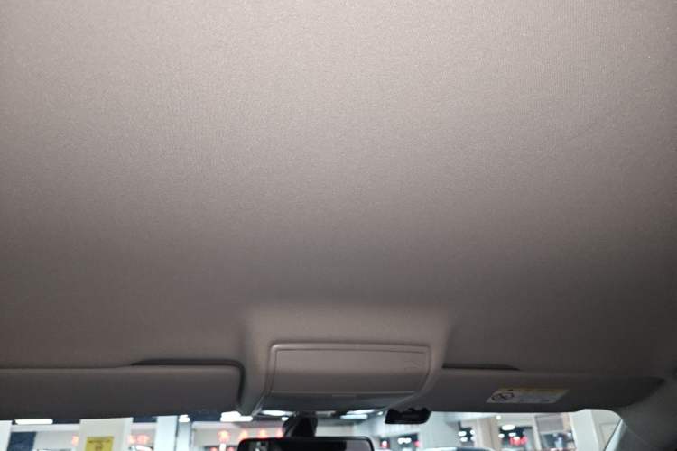 Used Volkswagen Tiguan L 2021 330TSI Automatic Two-Wheel Drive Comfort Edition Headliner