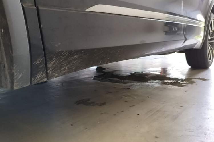 Used Volkswagen Tiguan L 2021 330TSI Automatic Two-Wheel Drive R-Line Enhanced Edition Left Side Sill
