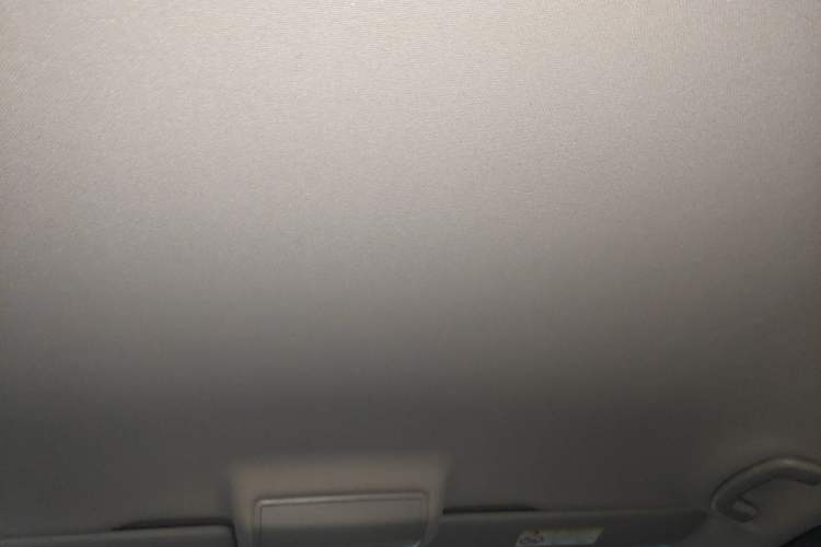 Used Volkswagen Tiguan L 2021 330TSI Automatic Two-Wheel Drive Comfort Edition Headliner