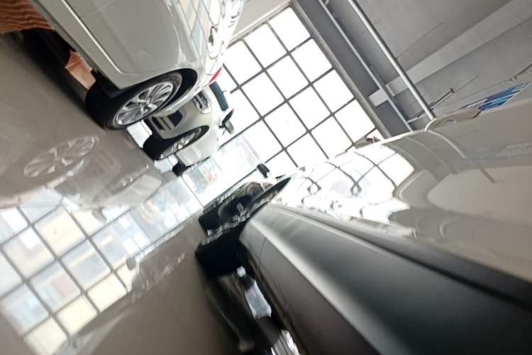 Used Volkswagen Tiguan L 2021 330TSI Automatic Two-Wheel Drive Comfort Edition Right Side Sill