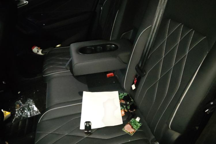 Used Volkswagen Tiguan L 2022 330TSI Automatic Two-Wheel Drive R-Line Enhanced Edition Left Rear Seat