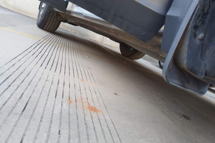 Used Volkswagen Tiguan L 2022 330TSI Automatic Two-Wheel Drive Smart Edition Right Side Sill
