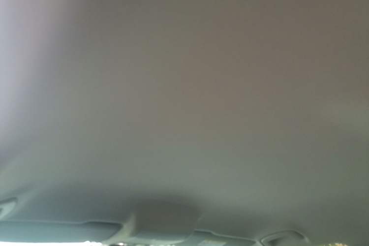 Used Volkswagen Tiguan L 2023 330TSI Automatic Two-Wheel Drive Comfort Edition Headliner