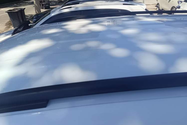 Used Volkswagen Tiguan L 2023 330TSI Automatic Two-Wheel Drive Comfort Edition Roof