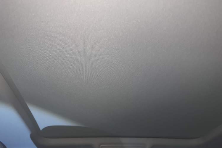 Used Volkswagen Tiguan L 2024 Outstanding Model 330TSI Automatic Two-Wheel Drive R-Line Dragon Glory Edition Headliner