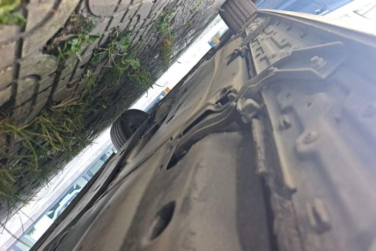 Used Volkswagen Tiguan L 2024 330TSI Automatic Two-Wheel Drive R-Line Enhanced Edition Left Side Sill