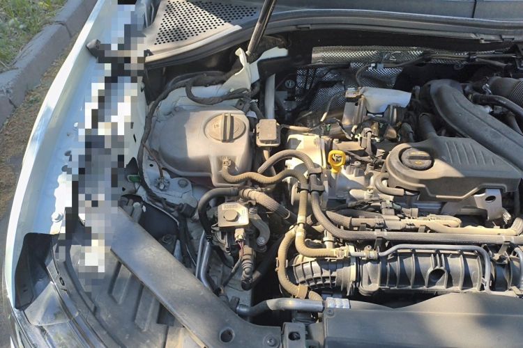 Used Volkswagen Tiguan L 2025 Model, Outstanding Version, 300TSI Automatic Two-Wheel Drive Longteng Edition Engine Bay Right