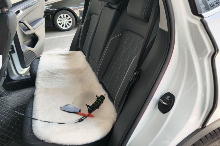 Used Volkswagen Tiguan L 2025 Model, Outstanding Version, 300TSI Automatic Two-Wheel Drive Longteng Edition Left Rear Seat