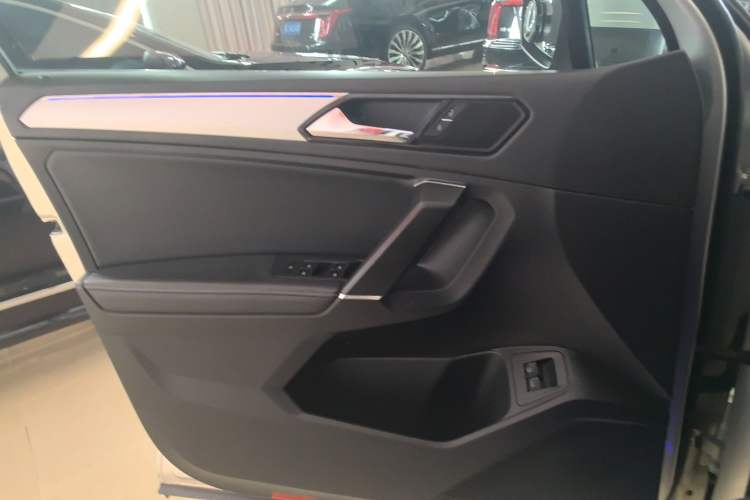 Used Volkswagen Tiguan L New Energy 2019 430 PHEV Hybrid Flagship Model Left Front Door Interior