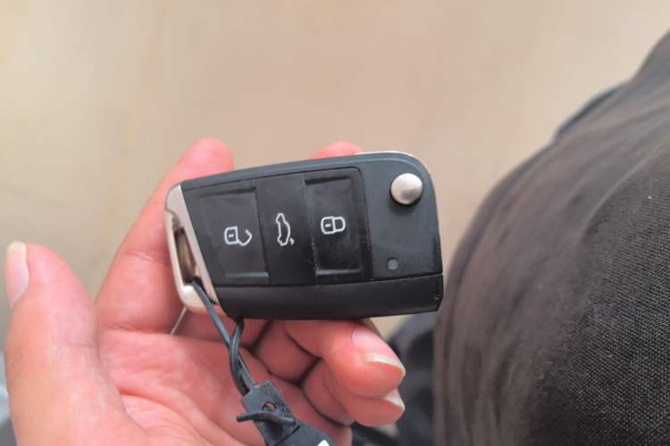 Used Volkswagen Tiguan L New Energy 2019 430 PHEV Hybrid Flagship Model Vehicle Key