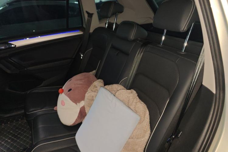 Used Volkswagen Tiguan L New Energy 2019 430 PHEV Hybrid Flagship Model Left Rear Seat