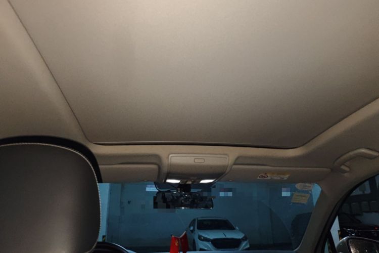 Used Volkswagen Tiguan L New Energy 2019 430 PHEV Hybrid Luxury Edition Headliner