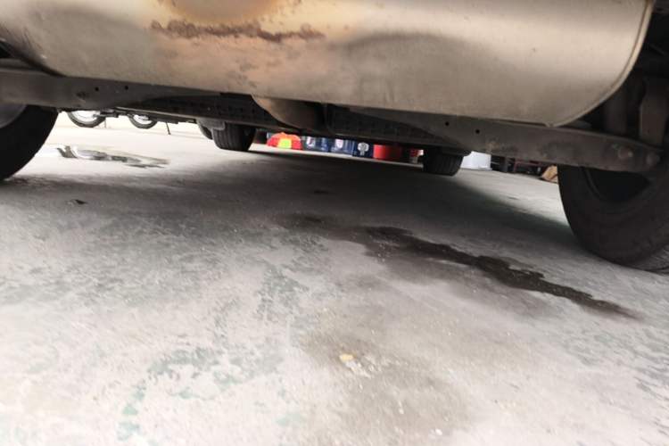Used Volkswagen Tiguan L New Energy 2019 430 PHEV Hybrid Flagship Model Chassis Rear