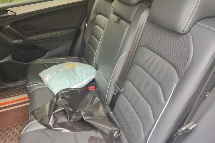 Used Volkswagen Tiguan L New Energy 2019 430 PHEV Hybrid Flagship Model Left Rear Seat