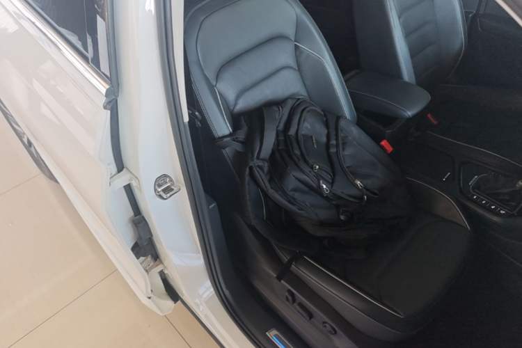 Used Volkswagen Tiguan L New Energy 2020 430 PHEV Plug-in Hybrid Flagship Edition Right Front Seat