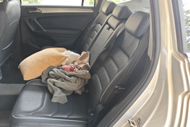Used Volkswagen Tiguan L New Energy 2020 430 PHEV Plug-in Hybrid Flagship Edition Left Rear Seat