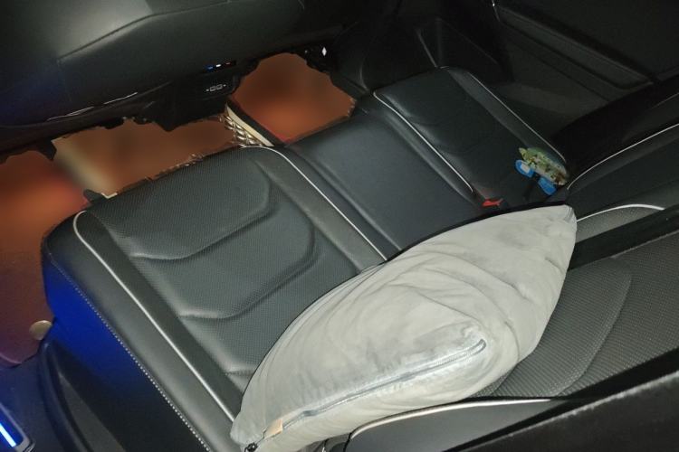 Used Volkswagen Tiguan L New Energy 2020 430 PHEV Plug-in Hybrid Flagship Edition Left Rear Seat