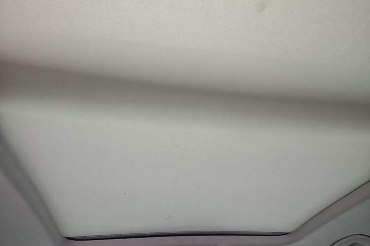 Used Volkswagen Tiguan L New Energy 2020 430 PHEV Plug-in Hybrid Flagship Edition Headliner