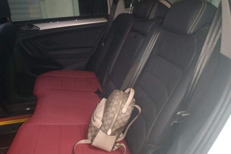 Used Volkswagen Tiguan L New Energy 2020 430 PHEV Plug-in Hybrid Prestige Edition Left Rear Seat