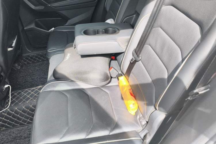 Used Volkswagen Tiguan L New Energy 2020 430 PHEV Plug-in Hybrid Flagship Edition Left Rear Seat