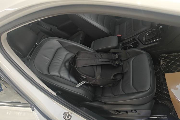 Used Volkswagen Tiguan L New Energy 2020 430 PHEV Plug-in Hybrid Prestige Edition Right Front Seat