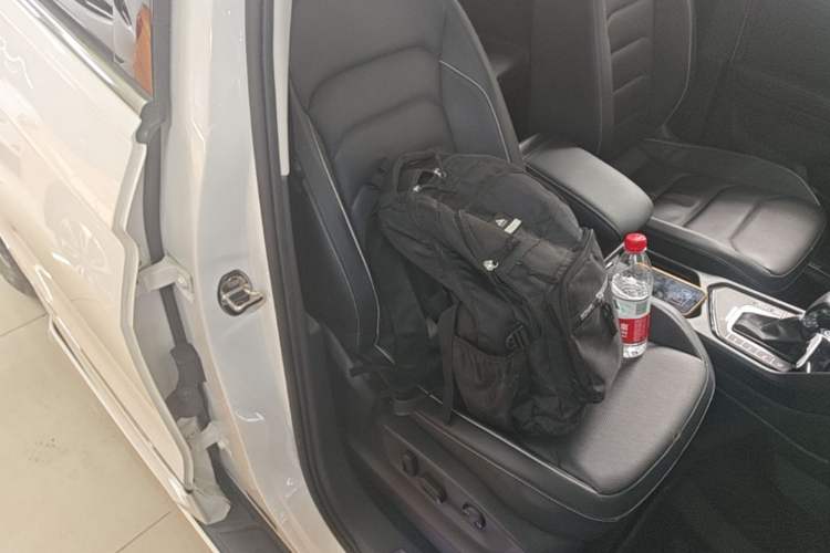 Used Volkswagen Tiguan L New Energy 2020 430 PHEV Plug-in Hybrid Flagship Edition Right Front Seat