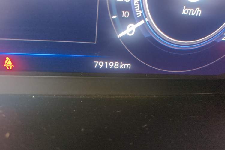 Used Volkswagen Tiguan L New Energy 2021 430 PHEV Plug-in Hybrid Prestige Edition Odometer Close Up