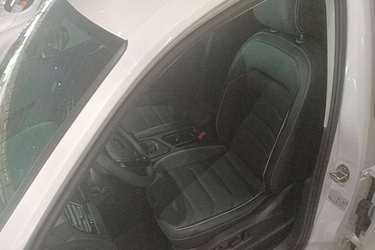 Used Volkswagen Tiguan L New Energy 2021 430 PHEV Plug-in Hybrid Flagship Edition Left Front Seat