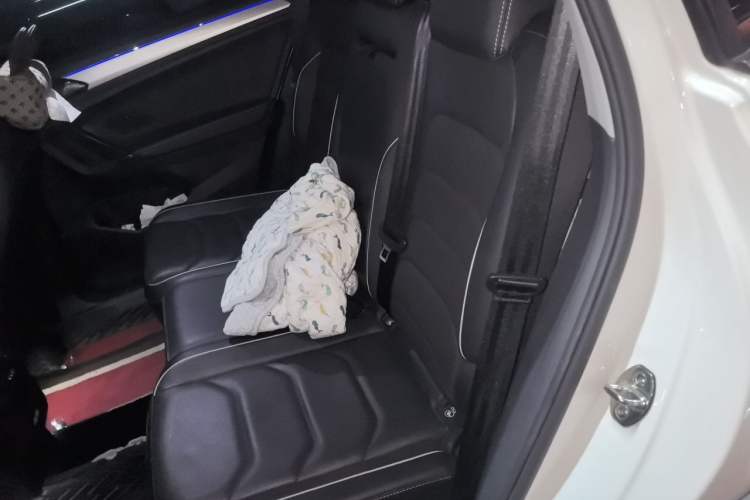 Used Volkswagen Tiguan L New Energy 2021 430 PHEV Plug-in Hybrid Flagship Edition Left Rear Seat