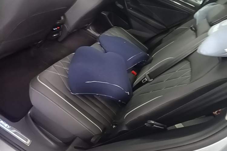 Used Volkswagen Tiguan L New Energy 2022 430 PHEV Plug-in Hybrid Prestige Edition Left Rear Seat