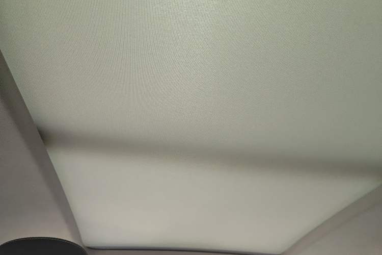 Used Volkswagen Tiguan L New Energy 2022 430 PHEV Plug-in Hybrid Prestige Edition Headliner