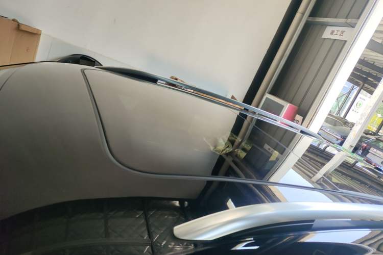 Used Volkswagen Tiguan L New Energy  Roof