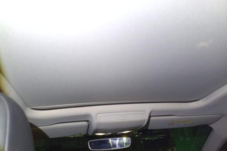 Used Volkswagen Tiguan X 2021 330TSI Two-Wheel Drive Enjoyment Version Headliner
