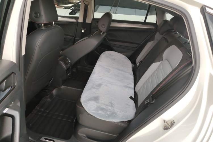 Used Volkswagen Tiguan X 2021 330TSI Two-Wheel Drive Enjoyment Version Left Rear Seat
