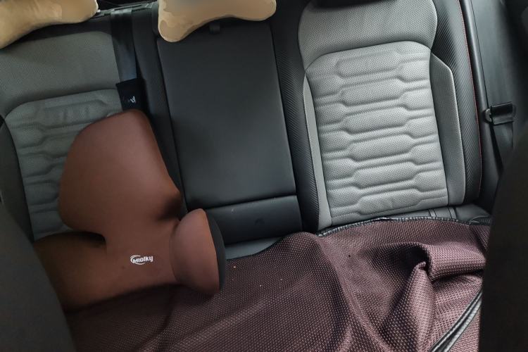 Used Volkswagen Tiguan X 2022 330TSI Two-Wheel-Drive Flagship Edition Left Rear Seat