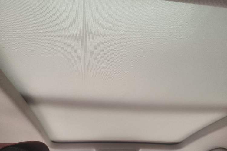 Used Volkswagen Tiguan X 2023 Revised Version 330TSI Two-Wheel-Drive Flagship Edition Headliner