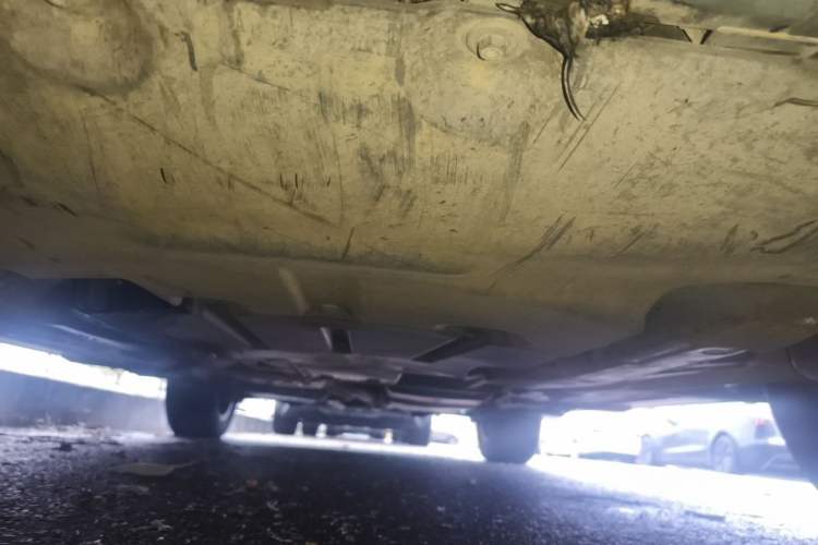 Used Volkswagen Touareg 2016 3.0 TSI Standard Version Chassis Front