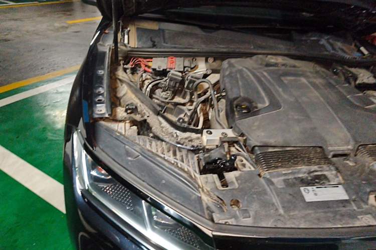 Used Volkswagen Touareg 2019 2.0TSI Ruiyi Edition China VI Standard Engine Bay Right