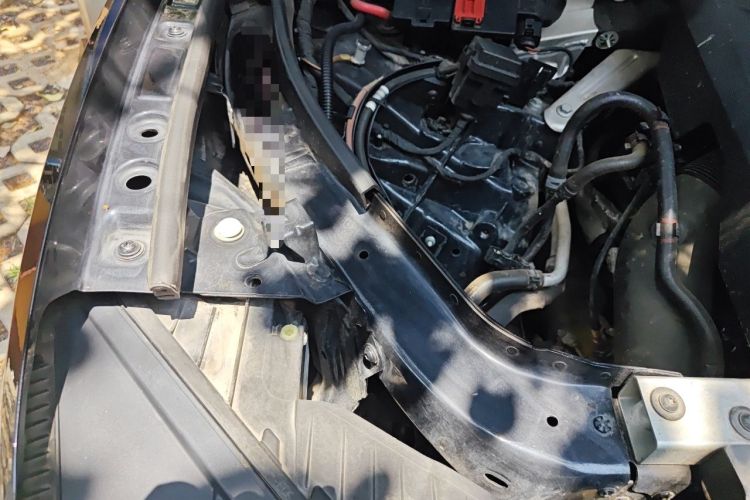 Used Volkswagen Touareg 2019 2.0 TSI Ruiyi Edition China V Standard Engine Bay Right