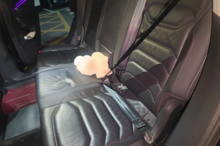 Used Volkswagen Touareg 2021 2.0 TSI RuiShang Edition Left Rear Seat