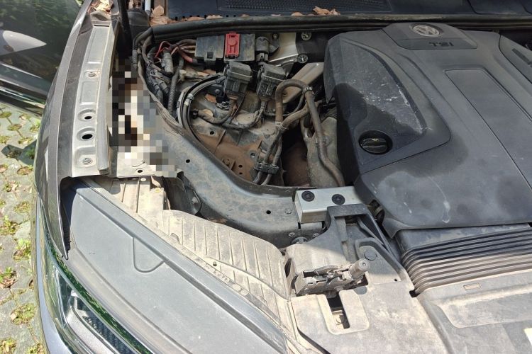 Used Volkswagen Touareg 2021 2.0 TSI Ruiyi Edition Engine Bay Right