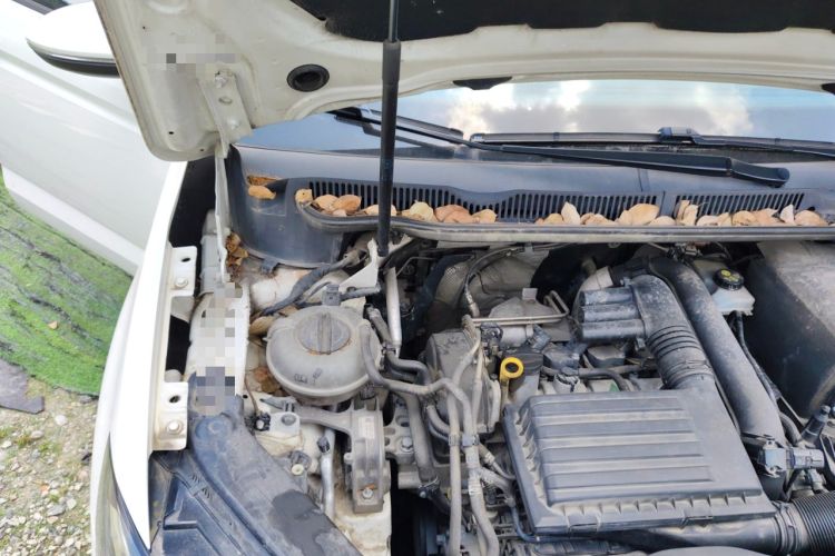 Used Volkswagen Touran 2016 Touran L 280TSI DSG Style Edition Engine Bay Right