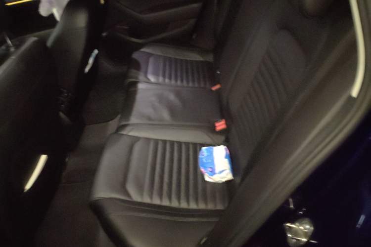 Used Volkswagen Variant 2018 380TSI Four-Wheel Drive Longitudinal Version Left Rear Seat