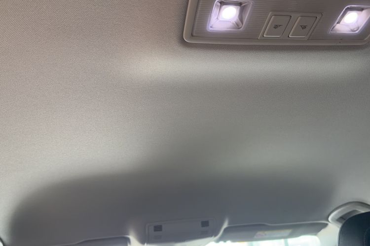 Used Volkswagen Variant 2021 2.0T Comfort Edition Headliner