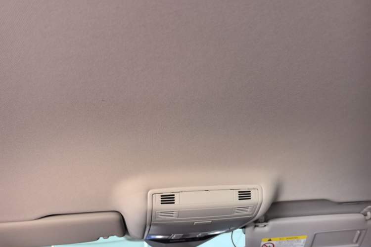 Used Volkswagen Variant 2021 2.0T Comfort Edition Headliner