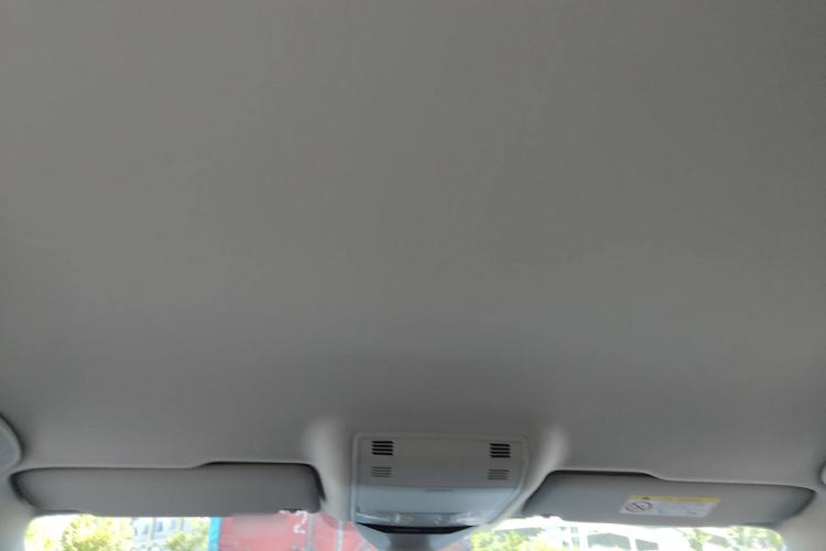 Used Volkswagen Variant 2021 2.0T Comfort Edition Headliner
