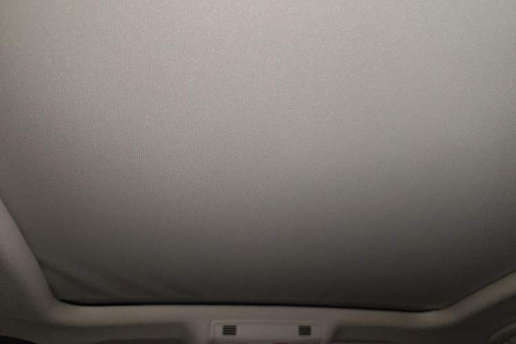 Used Volkswagen Variant New Energy 2019 GTE model Headliner